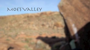Moe's Valley 2010