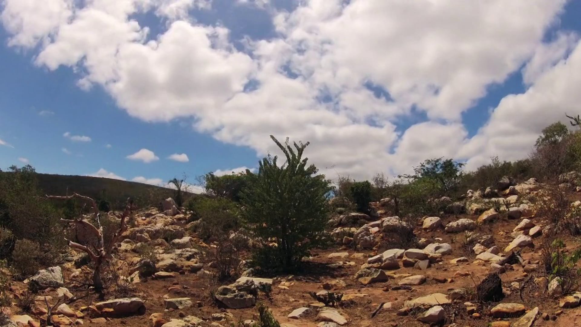 Parque Eólico Cristal