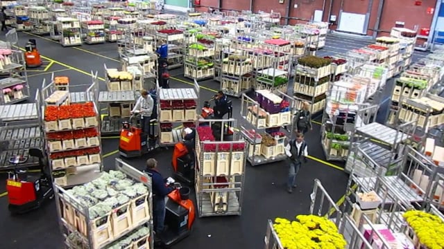 FloraHolland Flower Auction