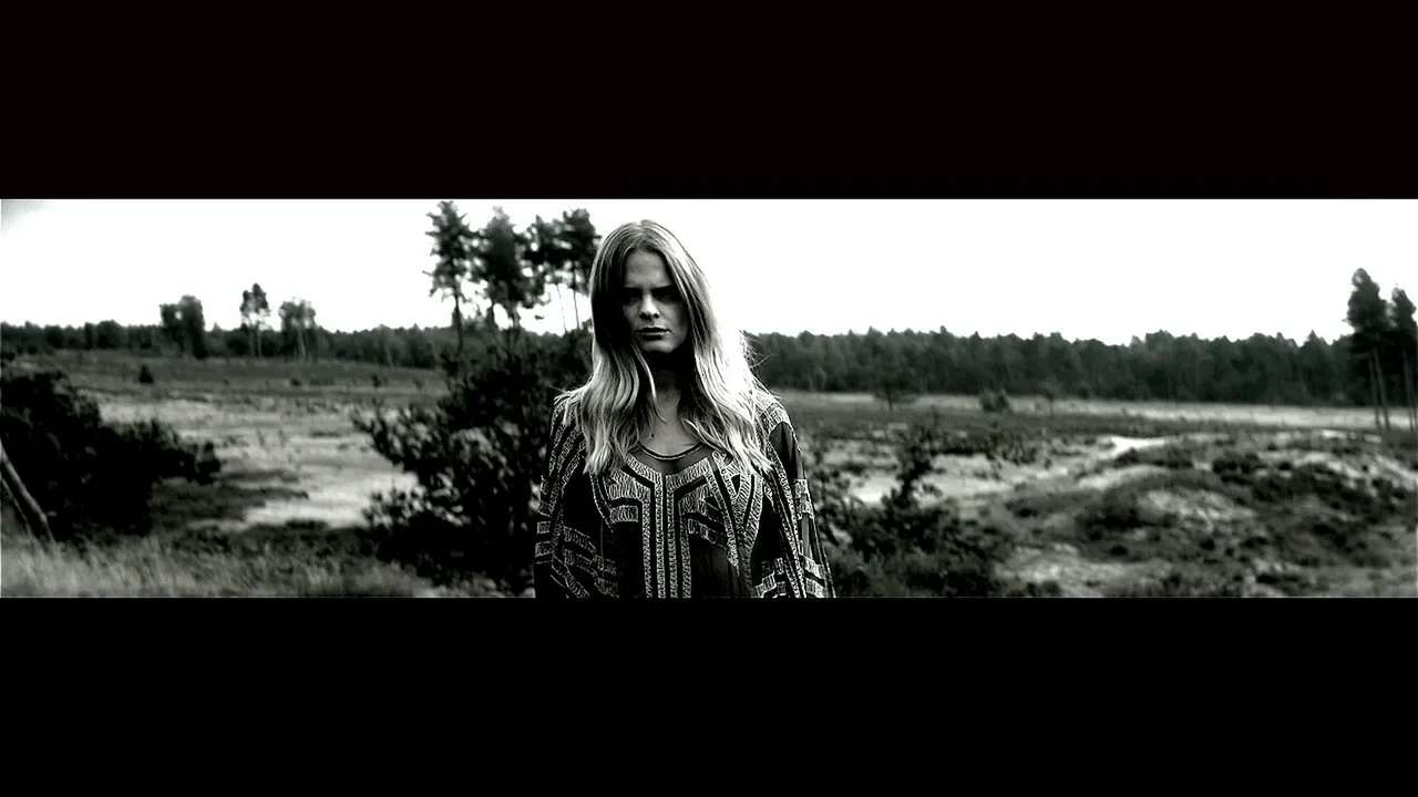 First Aid Kit Winter Is All Over You (Baauer Remix) unofficial viddy