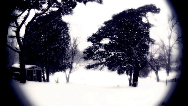 Michigan winter;The Global Hunger Epidemic;Yesterday's Snow;Ten Thousand Pictures of You;A Thing For Me;Digital Graffiti Wall;NEW YORK Christmas;N.A.S.A. "Money" feat. David Byrne, Chuck D, Ras Congo, Seu Jorge, & Z-Trip;Transfer - Winner of the 48 hour film project 2008;702B (2008);Lip Dub Pop Muzik;Fifty People, One Question: Brooklyn;Eclectic 2.0: Earth, Water, Sky;Solar, with lyrics.;snow in new york today;Story from North America;When the Snows Fall;A Funny Thing Happened The Day After I Got Laid Off;Bars & Tones;making of;Making of The Seed;Kinetic Wave Sculptures on MAKE: television;Receding From One Another;TreeWax Projection Mapping;For Thousands of Miles - Teaser 08;spreadin' cattails;Campfire. (Stop-Motion w/Canon 5D).;Training House Fire in HD;575 Castro St.;Video Valentine;ATL2LA;Studio photoshoot for David Bintley's Sylvia;Parenthetical Girls - "A Song For Ellie Greenwich";Fat City Reprise - Long Gone;Lynx;wingsuit base jumping;Charter For Compassion;lost in a moment;Untitled [moulinoscope's video test];Detroit Wildlife;December Air;The Eye and the Fly;AAAA Visuals -Ars Electronica;Wroclove;Sheets!!;LEAF - HD;Colours;Fourth State of Concentration (HD) (Czwarty Stan Skupienia);Kaleido-Lapse;Interpol - Rest My Chemistry Video;People are strange;Live for the Sounds;LUNATIK;Gobble;Finding Myself. 2009;What Else Is There?;Chris Britt - Cartoonist;Canon EOS5DmkII, One night in Beijing.;edicisum;Blender Modeling Exercise: "Wasp";LIBRE short montage;The Boxing Lesson - Dark Side of the Moog;Oleg Chubykin - "The Tourist" ("The Tourist" , 2007);[][][][] / "Sigur ros - Gong" / Eric Lerner;That Explains It;Tea/Las Alturas Fire, Santa Barbara California;J.T. Robinson...Skier;Remind Me;TIMELAPSE PIZARRA;FatBlooded - Following Aakash Nihalani;Restore the Balance: The Case for the Wolves in the Rockies;November Colors (HD);Sunset Time Lapse;Iran;DIR / EDIT - God Bless You - ShortFilm;Galapagos;Ibo Island - Sand Spit;Good News!;Fleet Foxes - A Take Away Show;The Bird’s Midair Heatstroke;New York Times Special Edition Video News Release - Nov. 12, 2008;Iceland;Sundance - Waahli aka Wyzah;MY HOME IS MY CASTLE;Levi Weaver "You Are Home";The Black Dog's Progress;Obama Wikipedia page edits;Joshua dancing to "Apologize";Obama Mania in Kenya;FLYING;Fredrik - 11 Years (2008);Motion Jam;My Secret Heart - Excerpts;Sea Orchestra: The Making Of;Ben Folds - You Don't Know Me