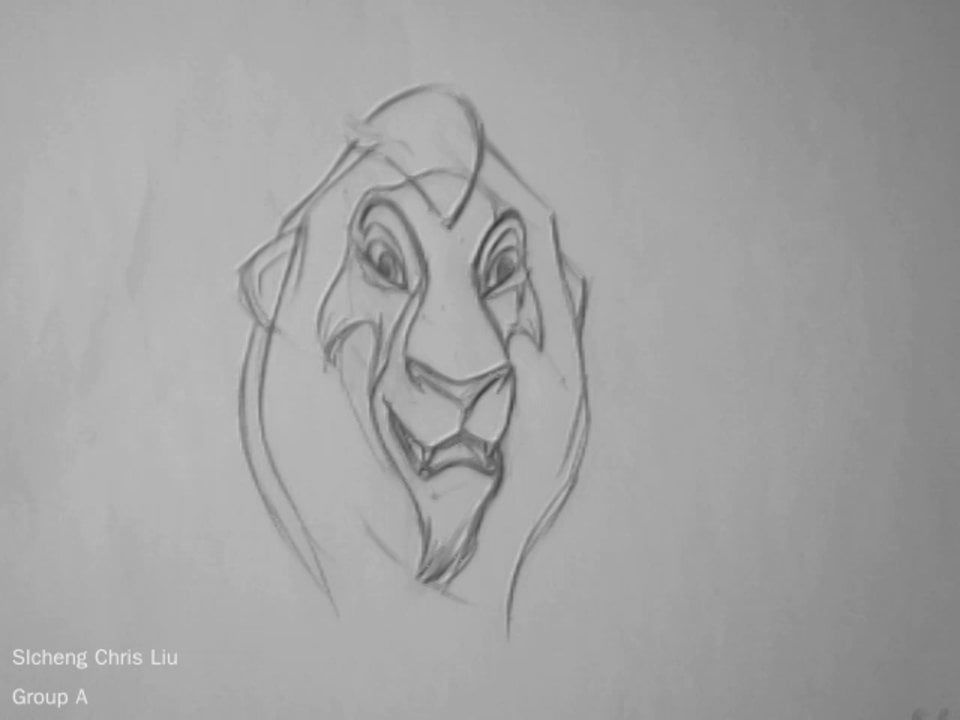 Scar Head Rotation - Sheridan Animation Year 1 on Vimeo