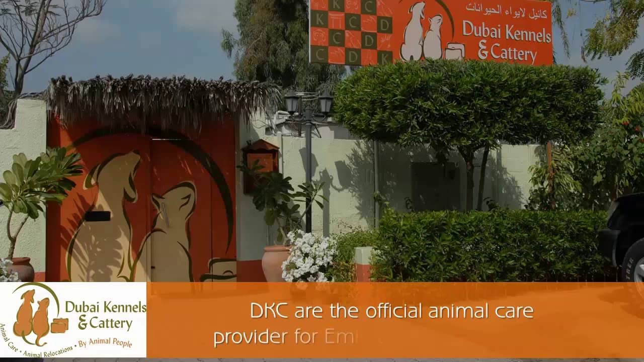 Dubai Kennels & Cattery Teaching Your Pets New Tricks on Vimeo