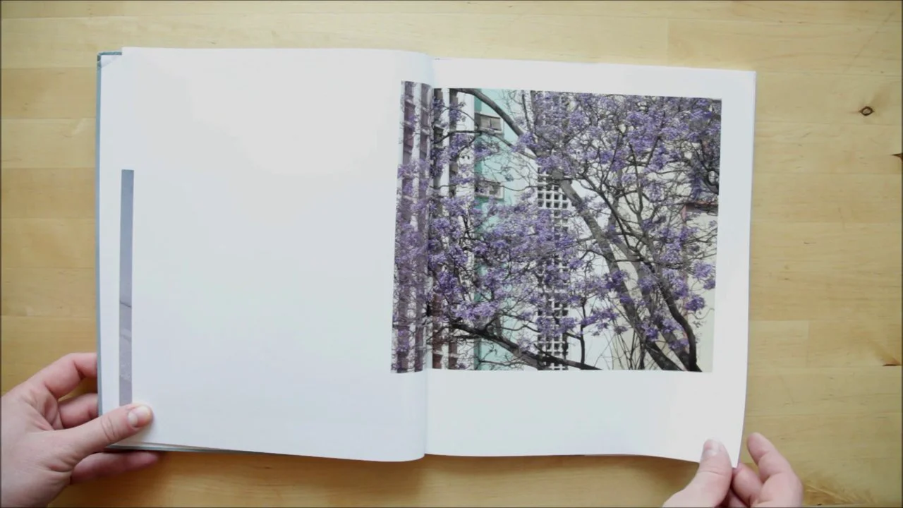 ヴィヴィアン・サッセン 写真集 「PARASOMNIA」