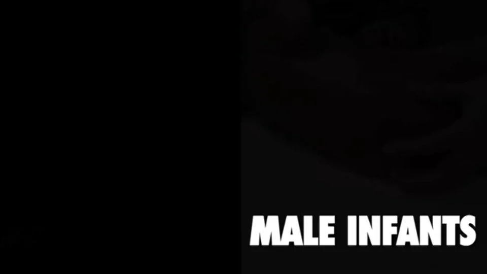 Learn Peds Genitourinary 05 Genital Exam Males
