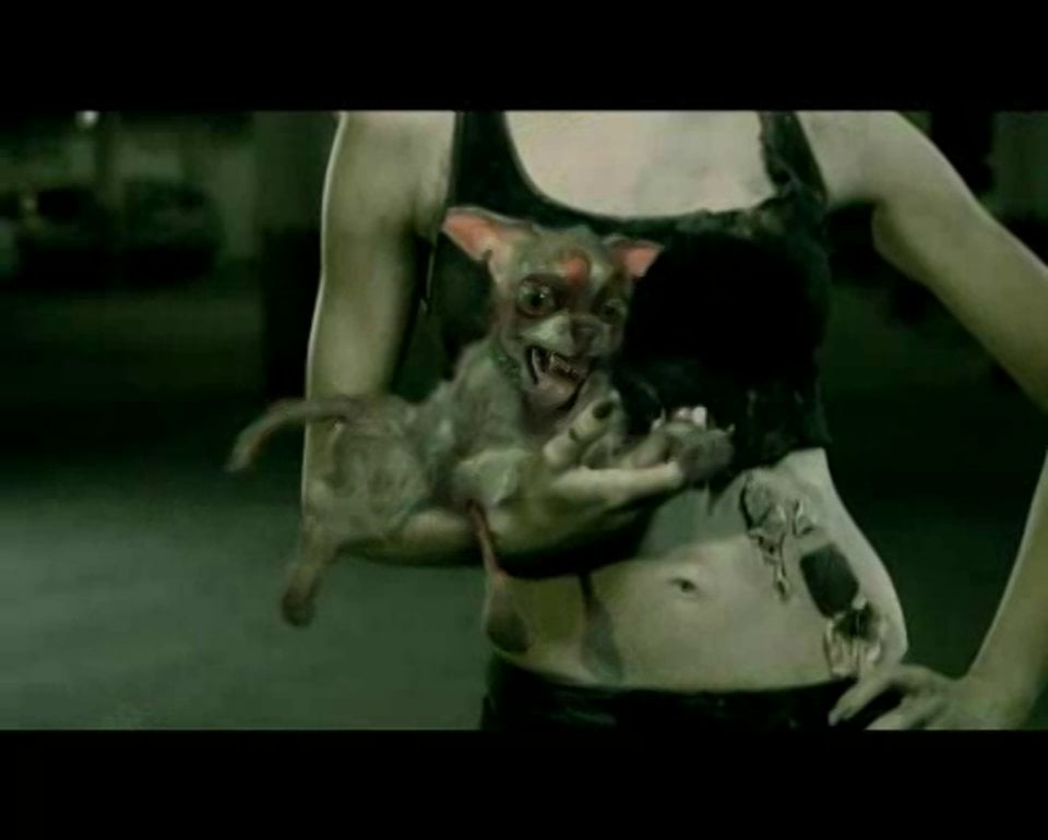 zombie dog on Vimeo