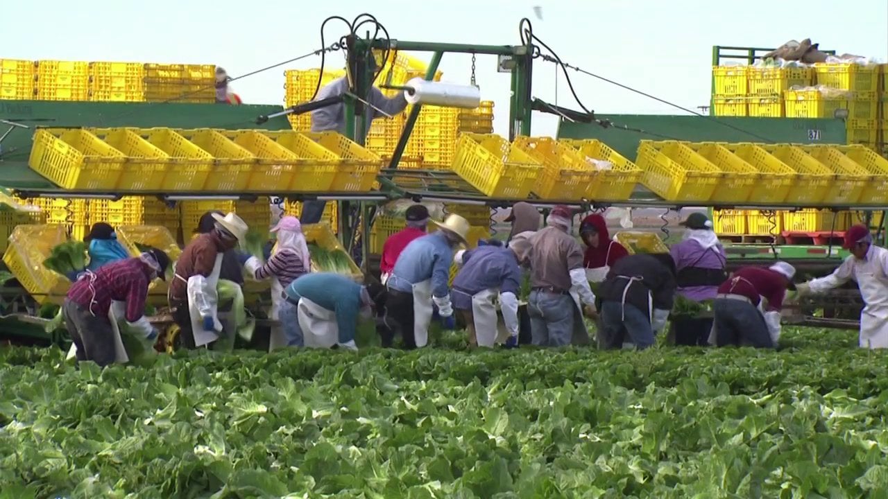 GreenGate Fresh - American Farmer (Feeding a Nation)