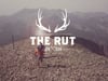 The Rut 50K & 12K - By Sprout Films