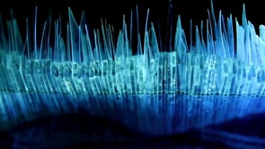 Digital Media Installations