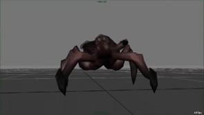 Tick Comp