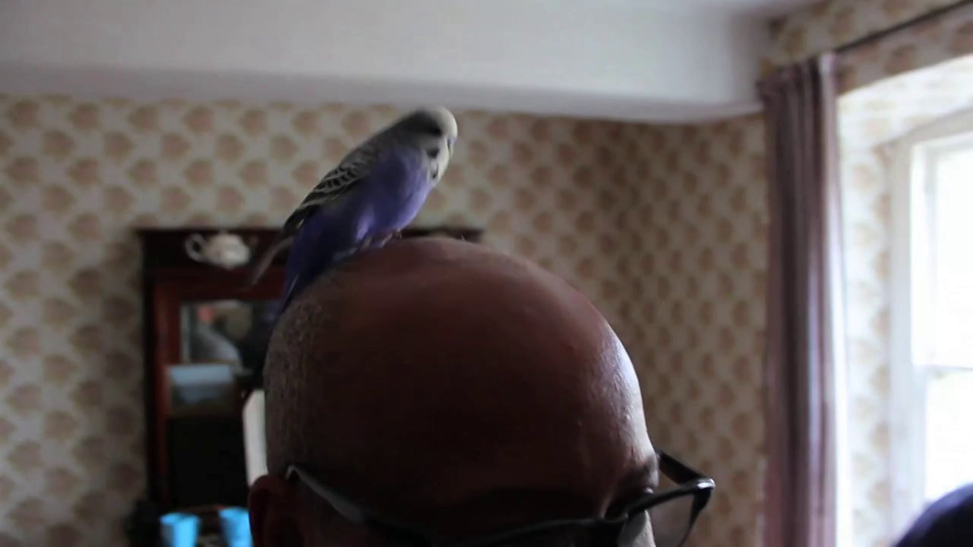 Raven Vlog 16 (2013)
