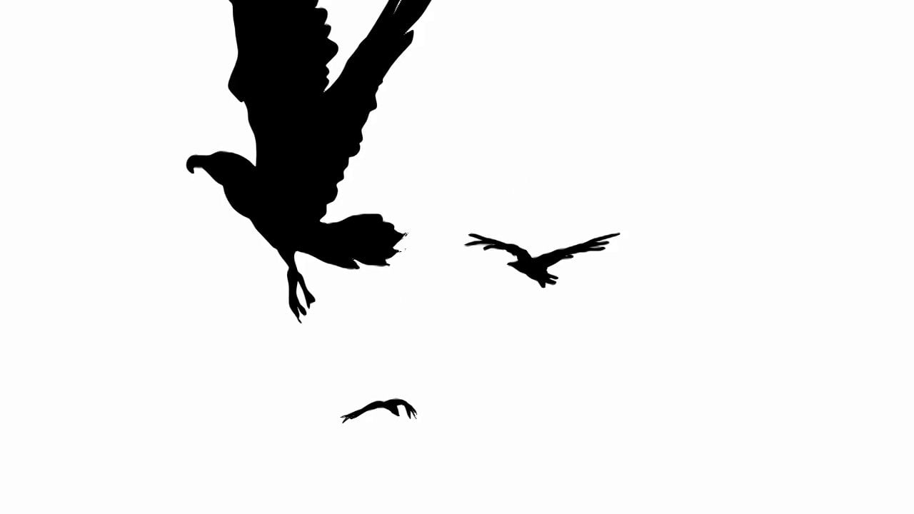 Animation vol oiseau et couteau - extrait dessins animés - PACA -VAR