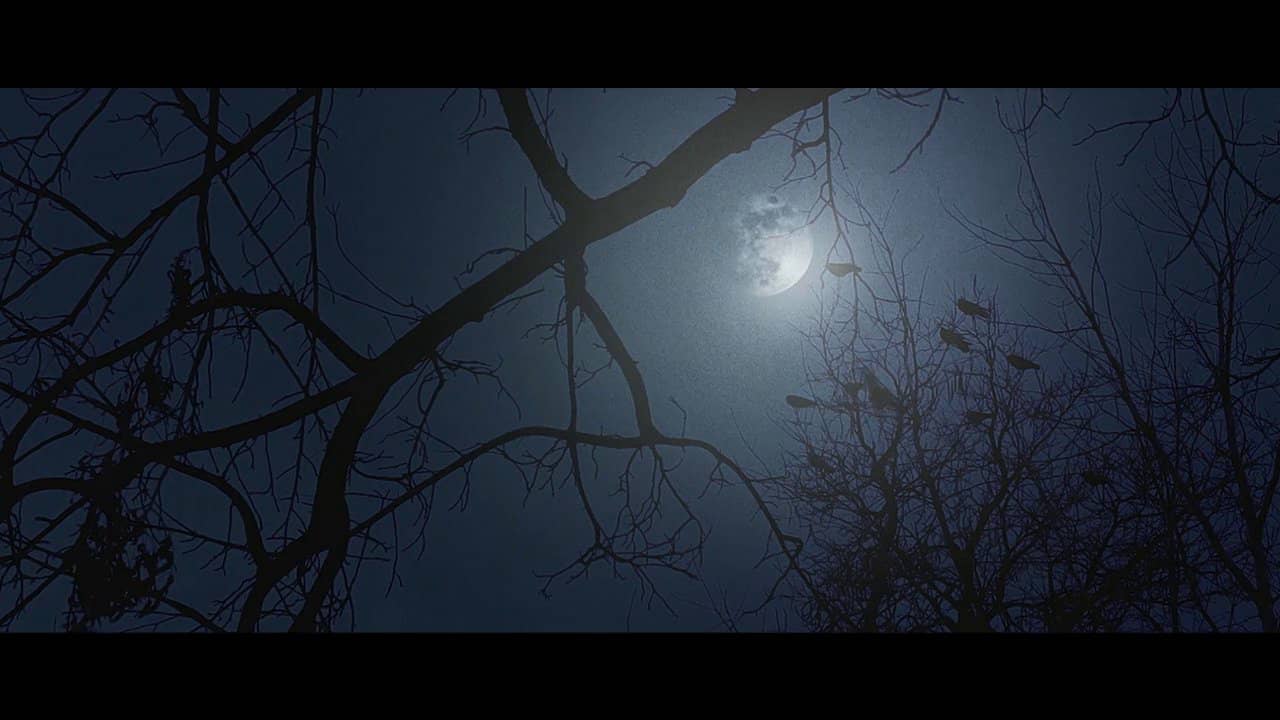 Youth Lagoon Mute on Vimeo