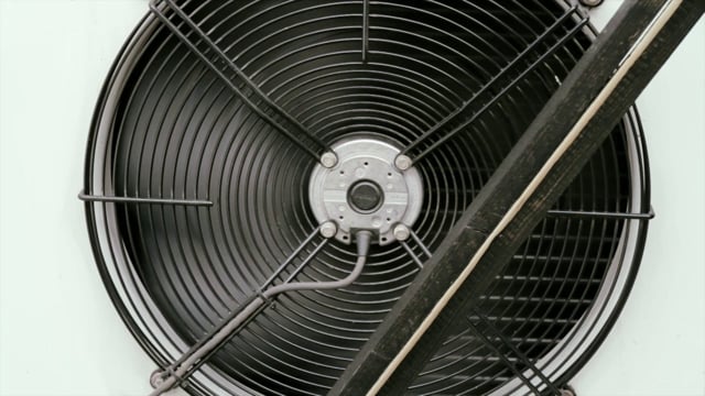 Foundations of values, 2013 (HD)