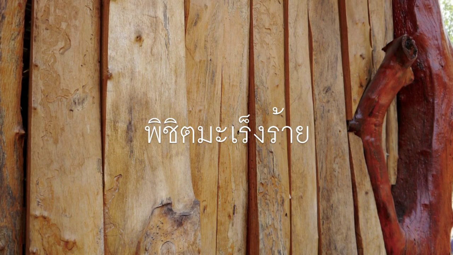 บทที่ 1: ปฐมบท แนะนำอุปกรณ์ และตารางบำบัด