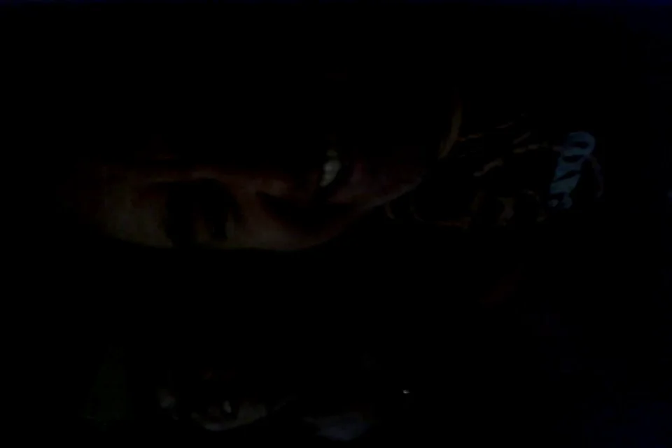 test on Vimeo