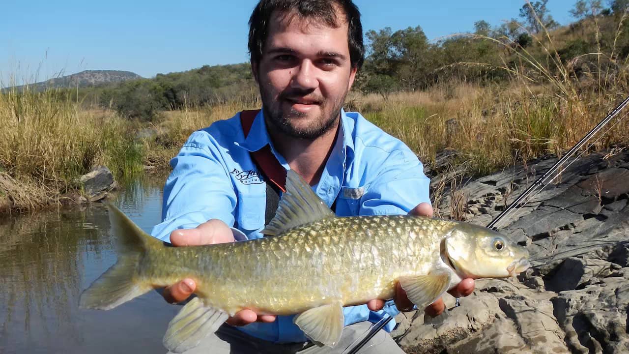 Scaly Scaly Fly Fishing for Natal Yellowfish on Vimeo