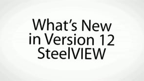 What's New in Version 12: SteelVIEW