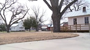 Mayborn Museum Complex - Natural Science and Cultural History