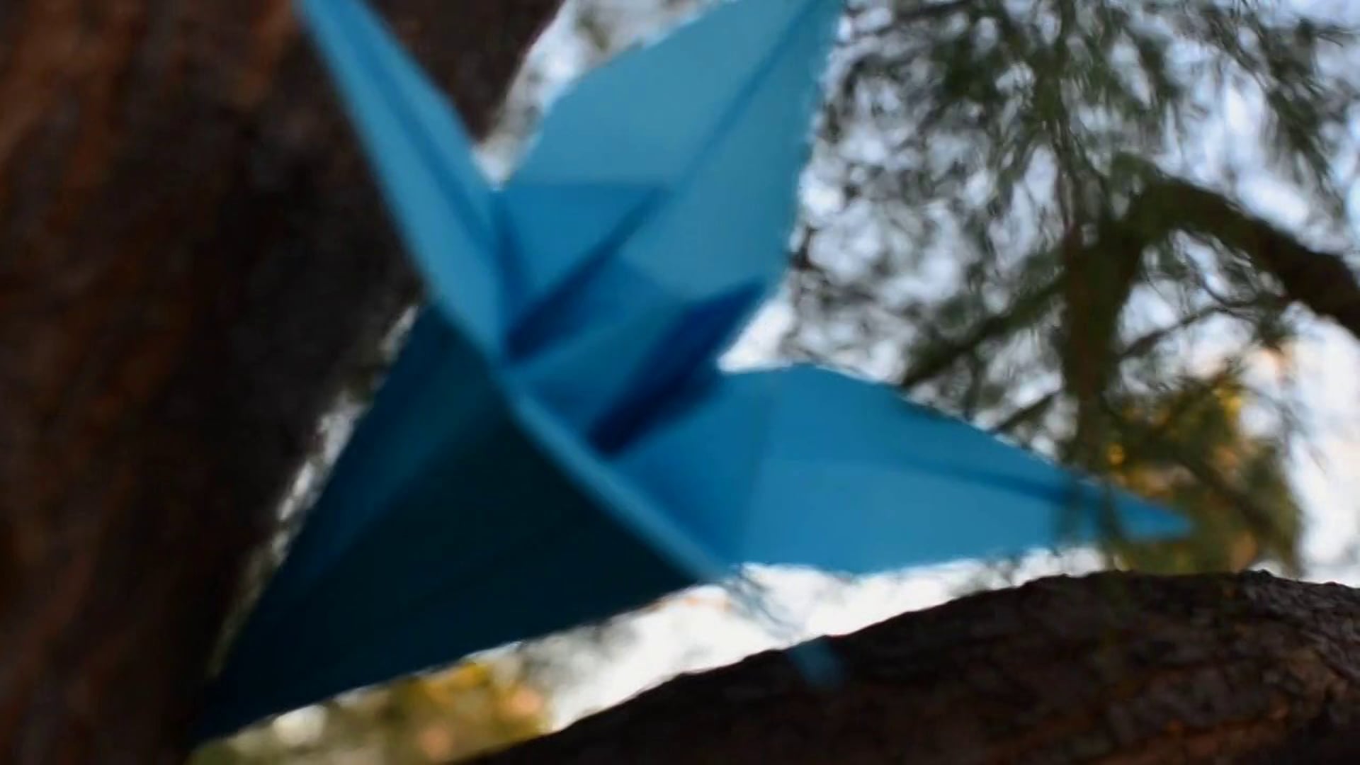 "Origami: El Arte de Doblar Papel"- Un cortometraje de Pepe Mira y Carlos I. Argente