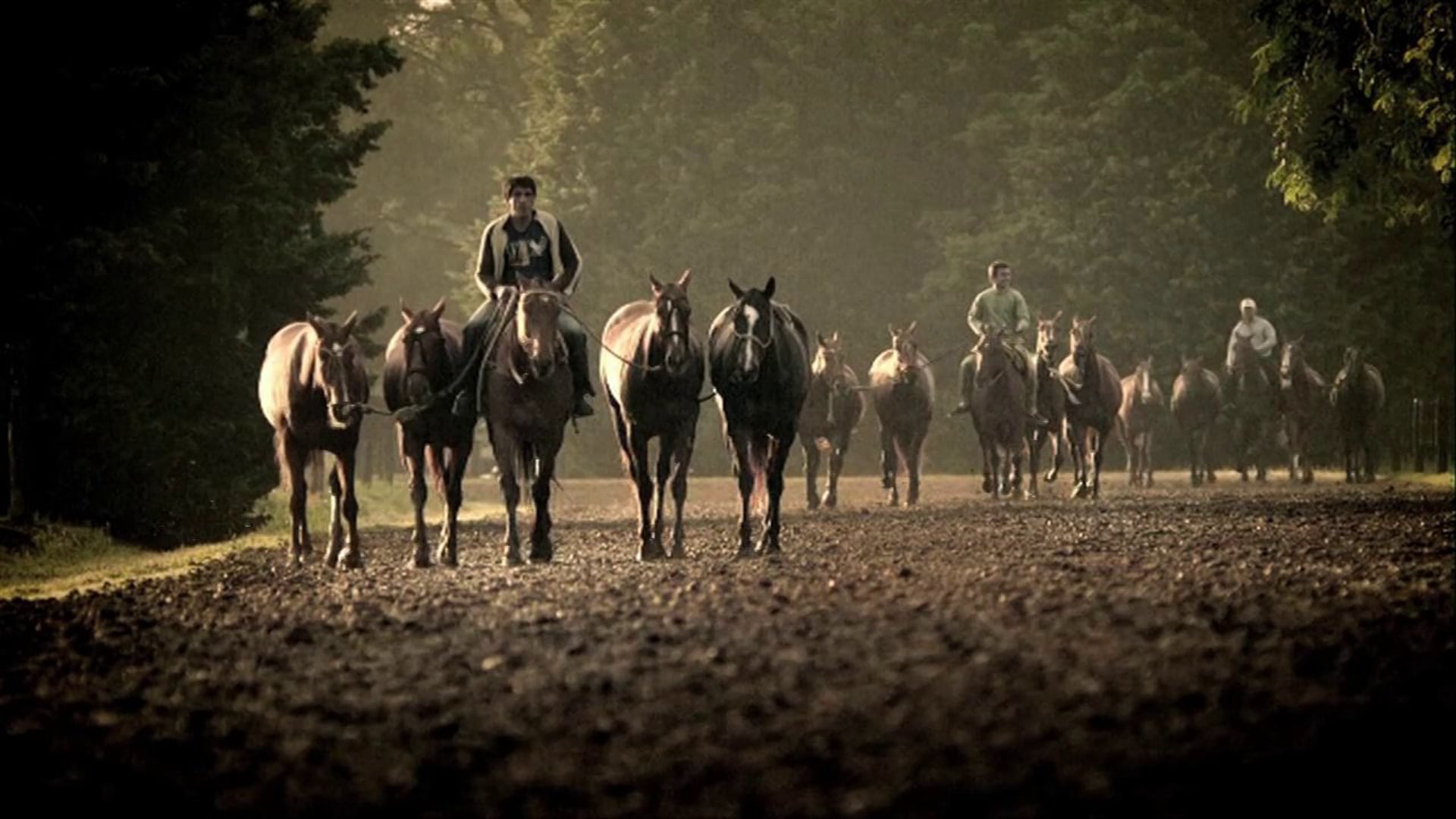 SCF showreel