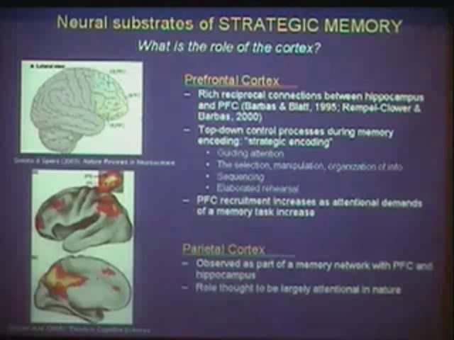 June 20, 2008 - Emerson Award: Altered Hippocampal-Prefrontal Activation in HIV Patients During Episodic Memory Encoding