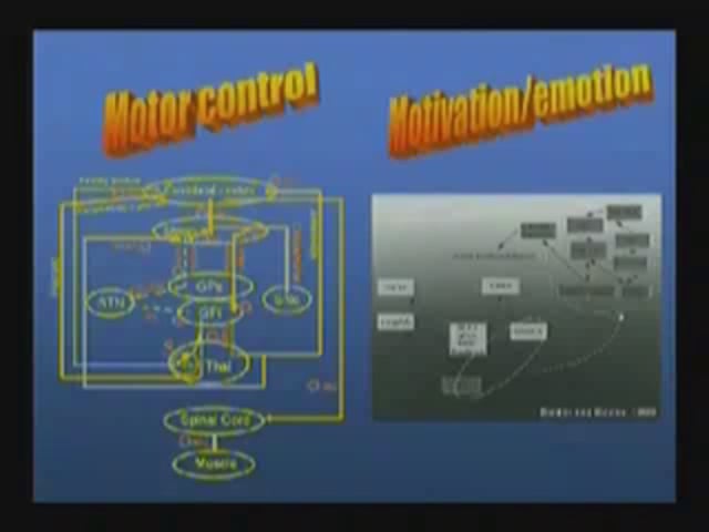 September 26, 2008 - Brain Imaging in Mood and Movement Disorders: Approaches to Studying Disorders of Distributed Functional Systems