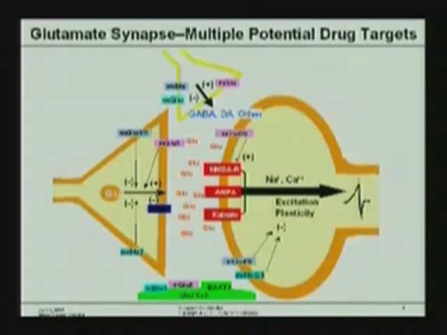 April 4, 2008 - Metabotropic Glutamate Receptors: Targets for Novel Antipsychotic and Anxiolytic Drugs