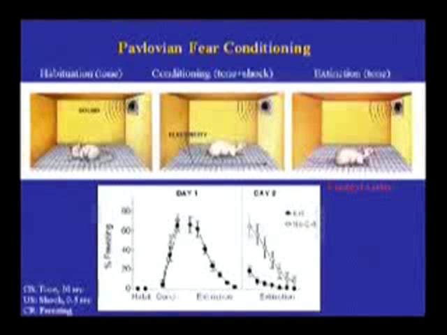 March 11, 2010 - The Neurobiology of Learning not to Fear: Implications to PTSD and Beyond