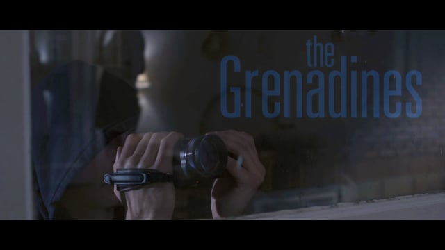 The Grenadines  - Shake thumbnail