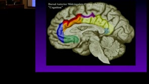 April 19, 2012 - What Doesn’t the Limbic System Do? Functional MRI and Intracranial Recordings of Cingulate Cortex