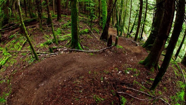 Sunshine Coast – Welcome the Trail Wizard from Joystick Bicycle Components