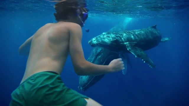 Related Embedded Video Item Thumbnail