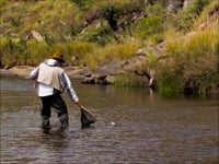 Fly fishing video from South Africa