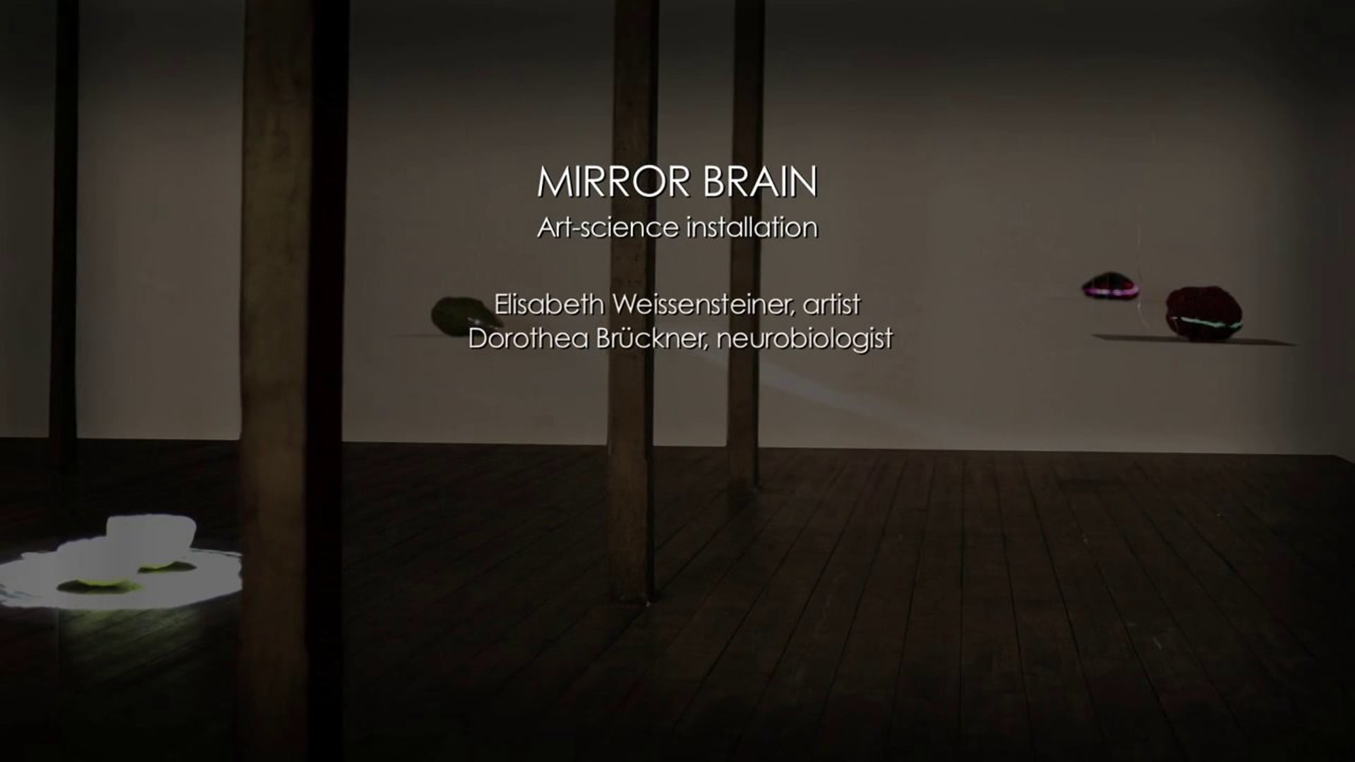 MIRROR BRAIN