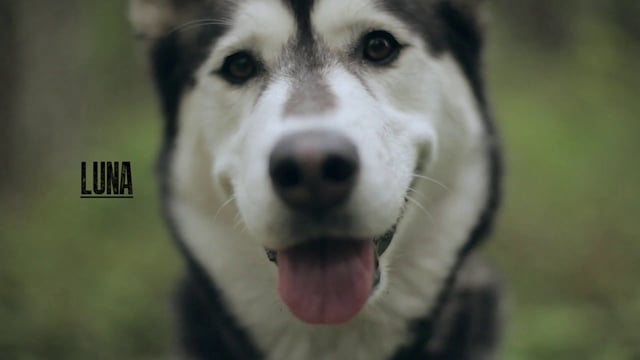 Jarrett Moore – Doggin’ It from Chromag