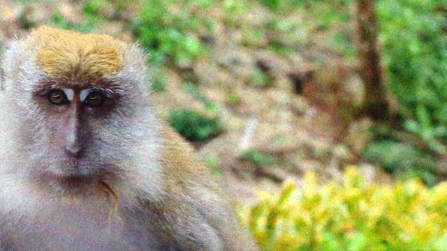 Radio Friendly from noa deane