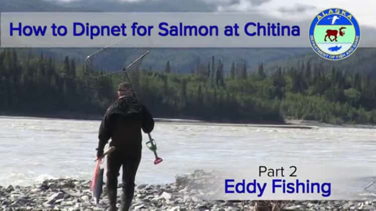 How to Dipnet for Salmon at Chitina: Part 2 - Eddy Fishing 