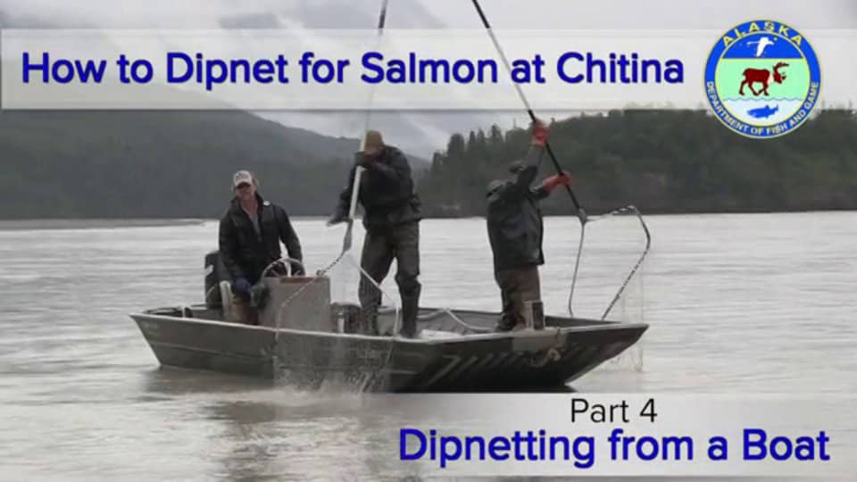 how-to-dipnet-for-salmon-at-chitina-part-4-dipnetting-from-a-boat-on-vimeo