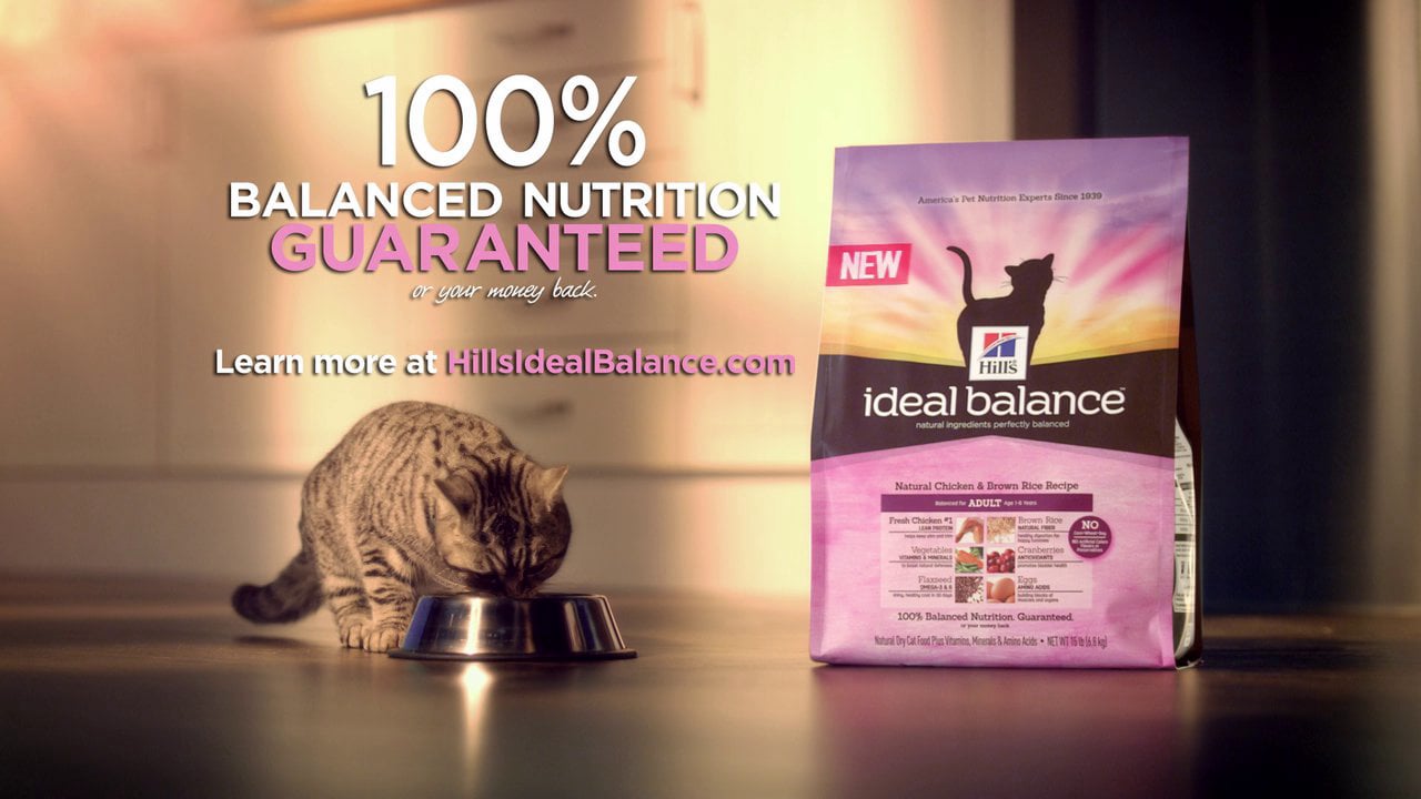 Hill's ideal balance kitten food hotsell