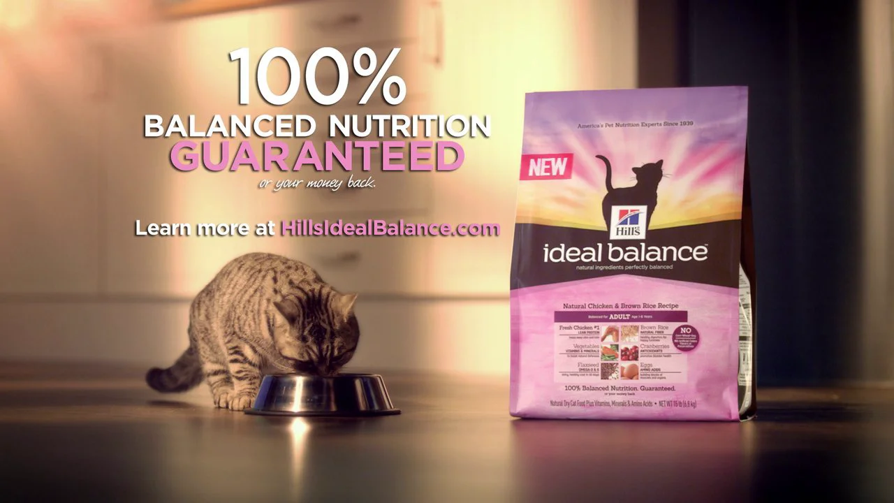 Ideal balance hotsell cat food