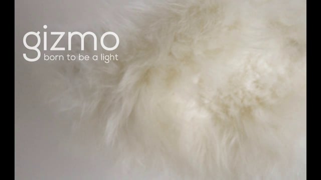 "Gizmo, Born to be a light” is a domestic object designed as object of affection.