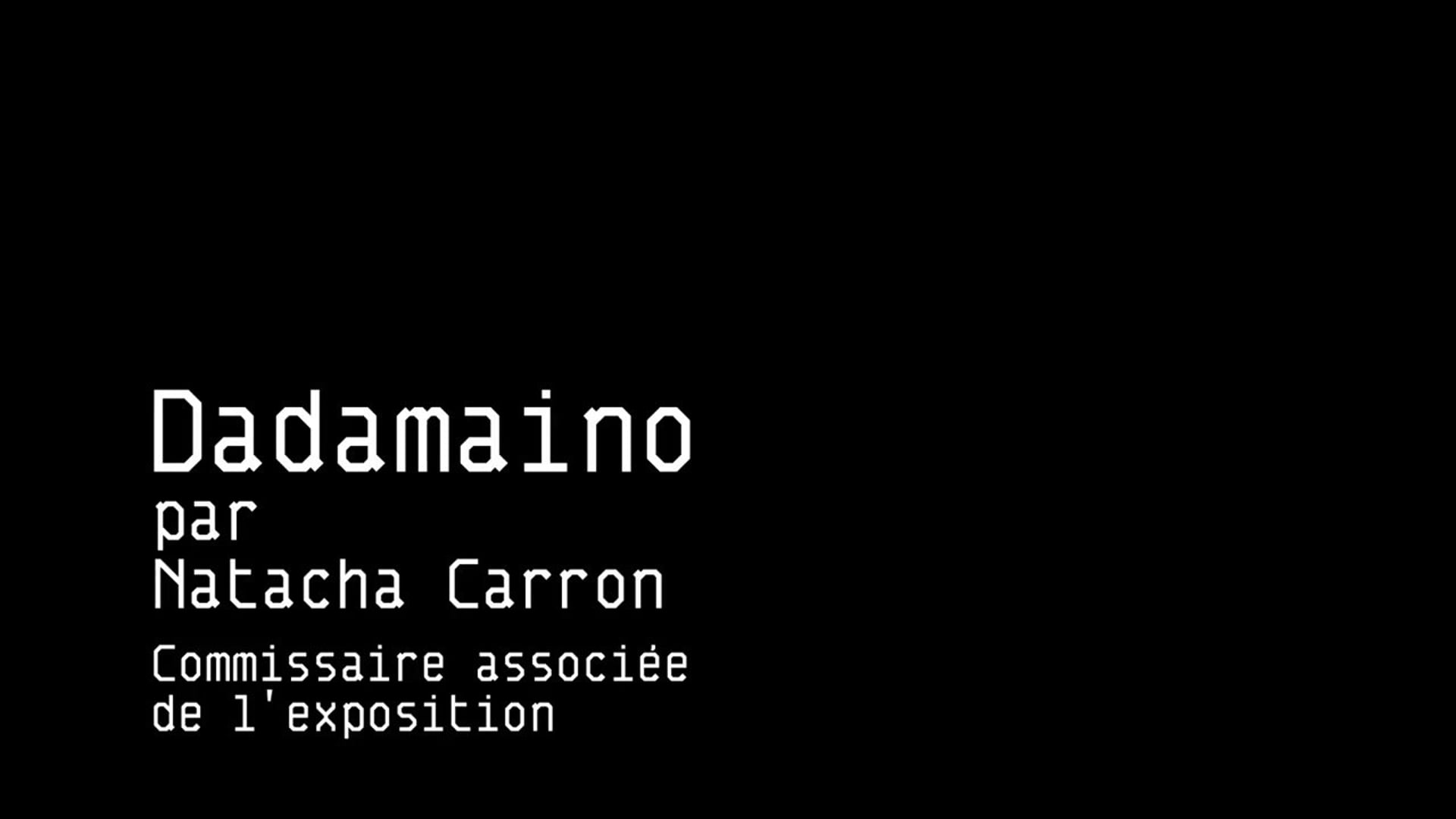 Portrait of an Artist - DADAMAINO