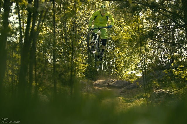 Jon Television - Into The Wild