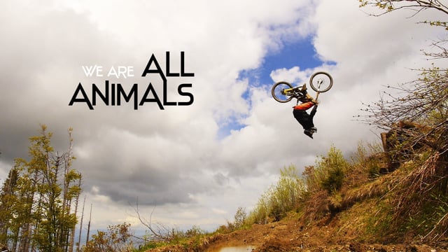 We are all animals from Shaperideshoot