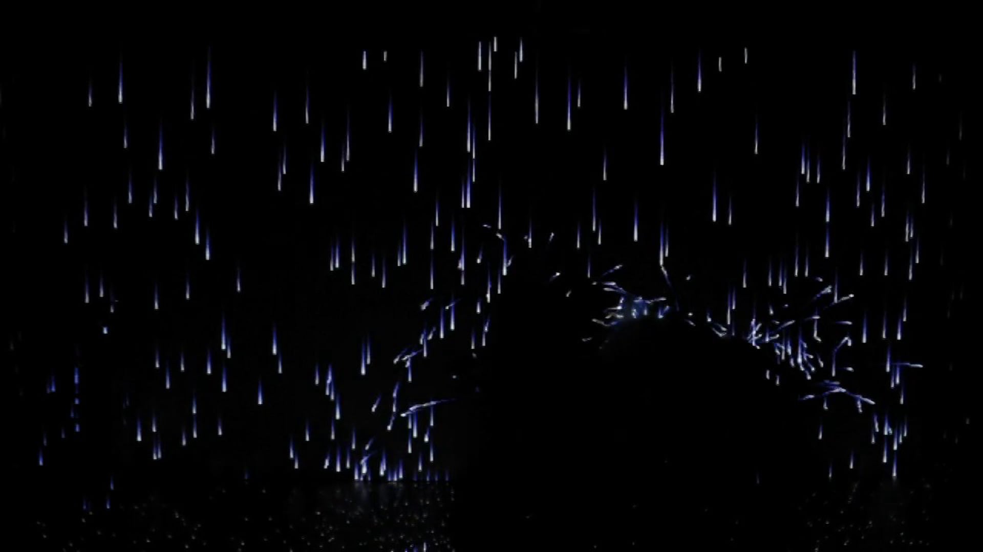 free•dom - a solo of many people (excerpt)