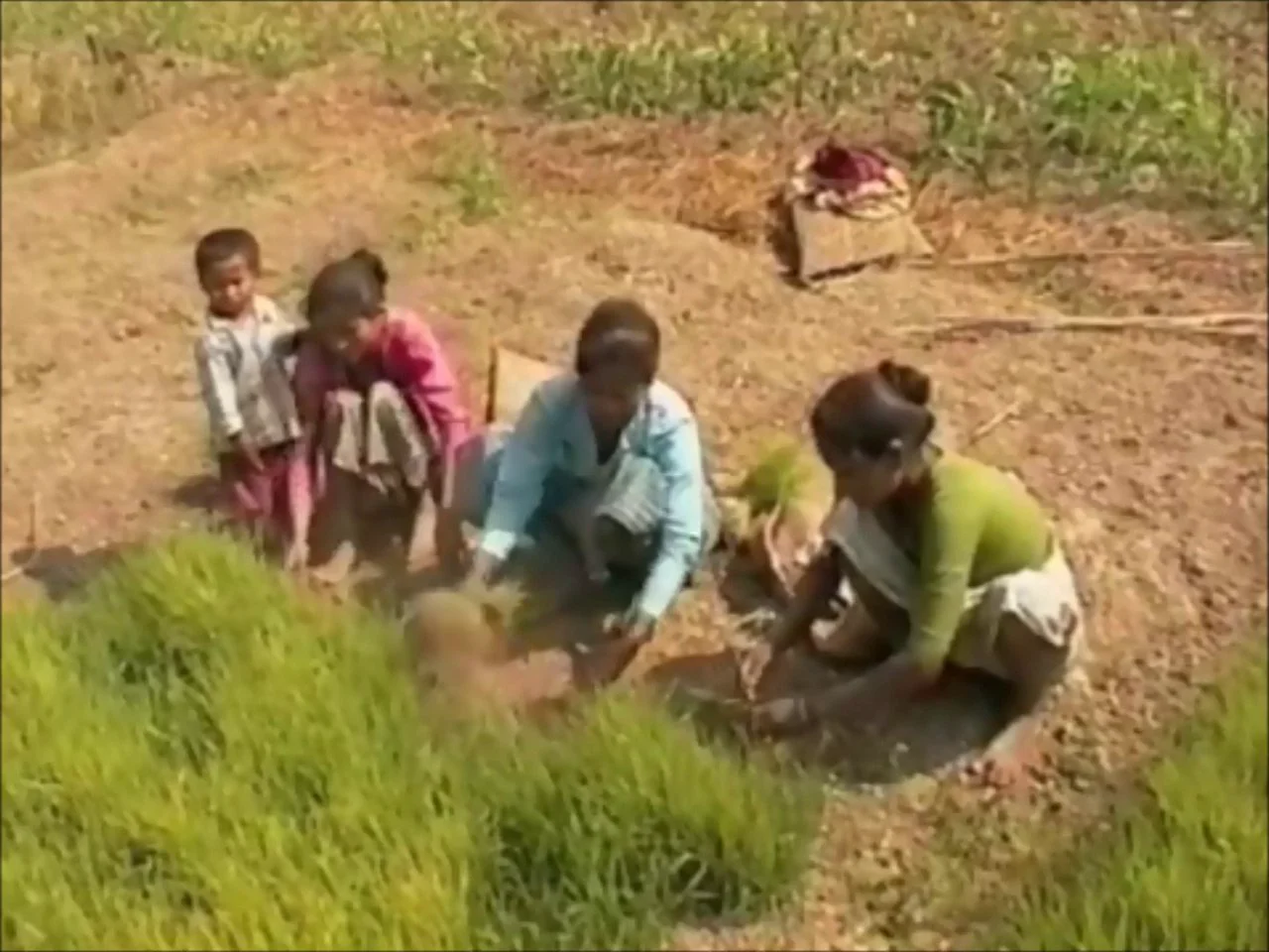 AP Human Geography Agriculture Review