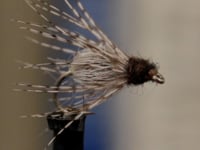 Caddis Emerger - From Tightline Productions