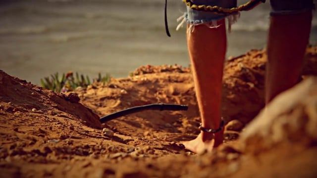 Yotam Levy Blade 2013