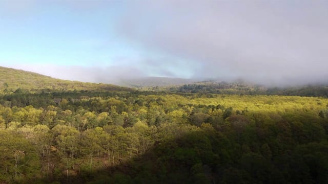 Woodloch and the Green Lodging Partnership
